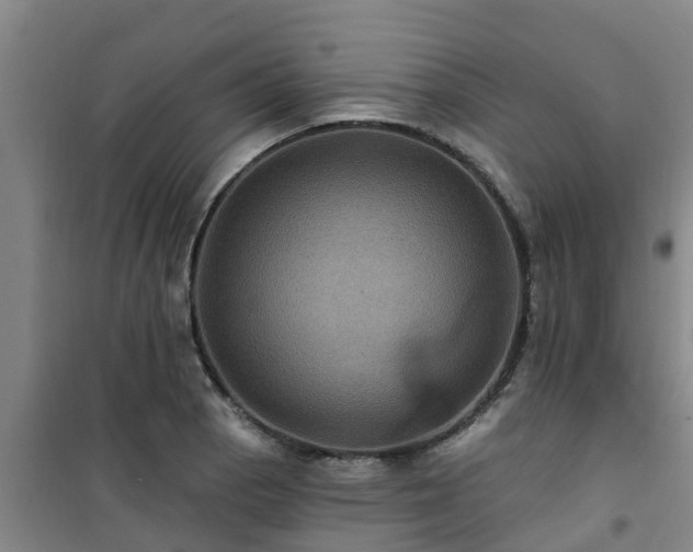 X0000101091129200807031720