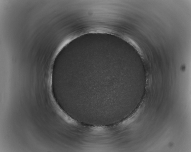 X0000101091130200807031720