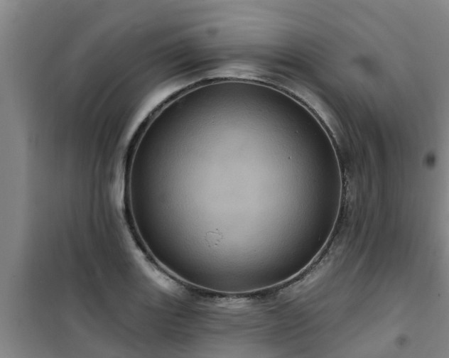 X0000101091131200807031720