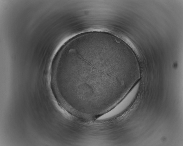 X0000101091132200807031720