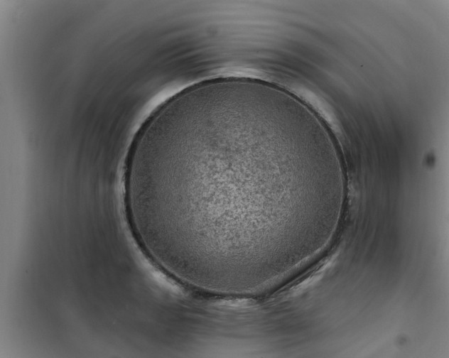 X0000101091133200807031720