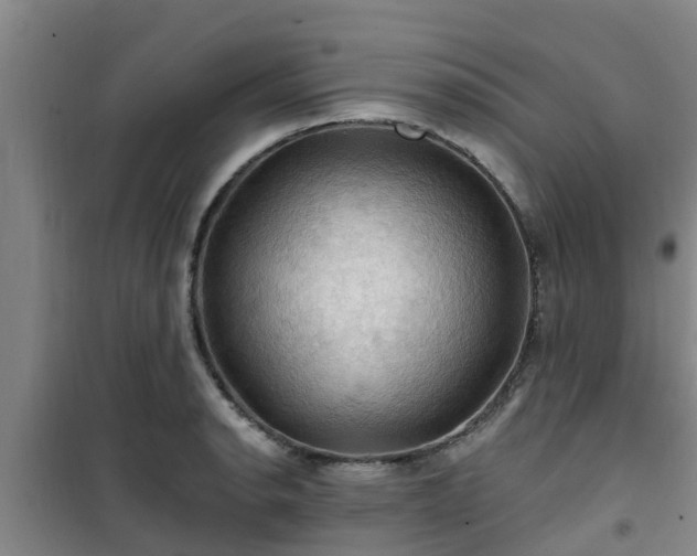 X0000101091134200807031720