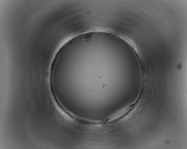 X0000101091135200807031720