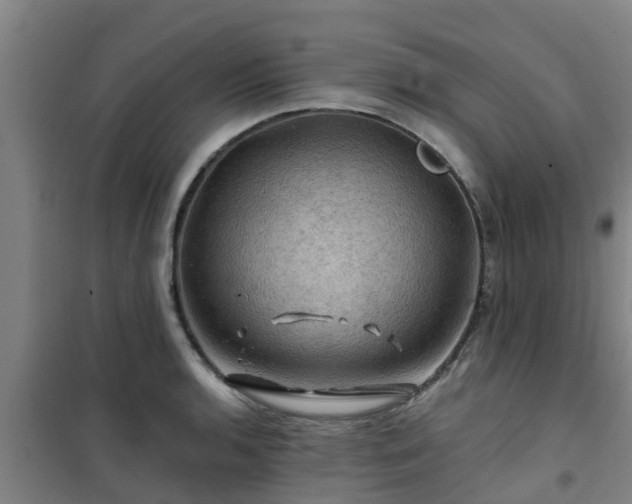 X0000101091136200807031720