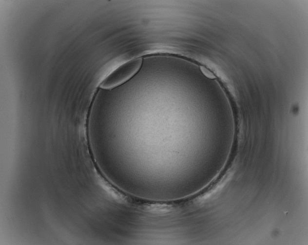 X0000101091137200807031720