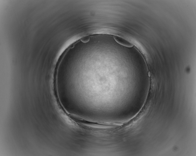 X0000101091138200807031720