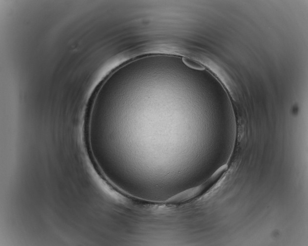 X0000101091139200807031720