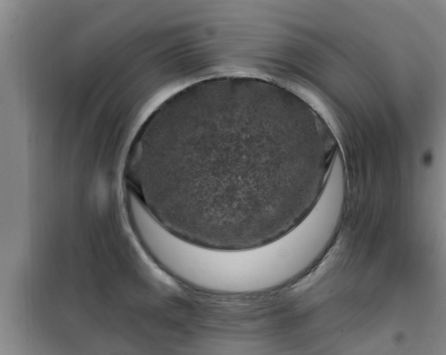 X0000101091141200807031720