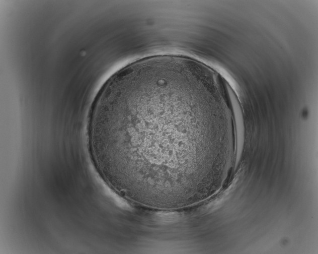 X0000101091142200807031720