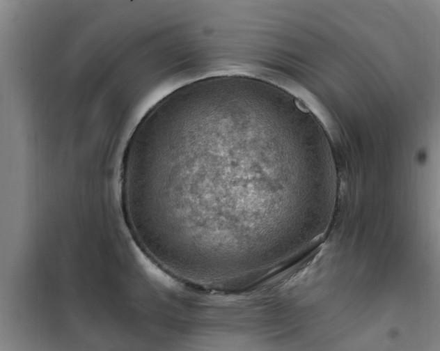 X0000101091143200807031720