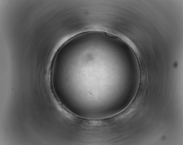 X0000101091144200807031720