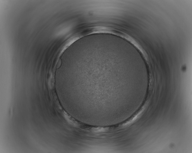 X0000101091145200807031720