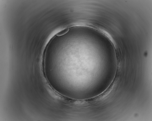 X0000101091146200807031720