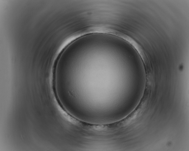 X0000101091147200807031720