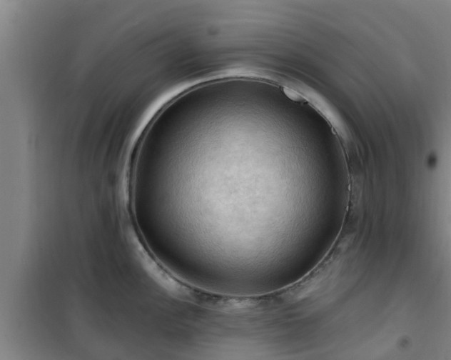 X0000101091148200807031720