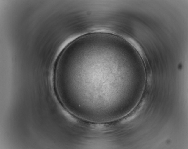 X0000101091149200807031720