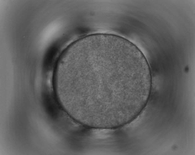 X0000101091150200807031720