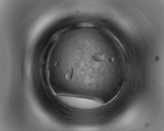 X0000101091151200807031720