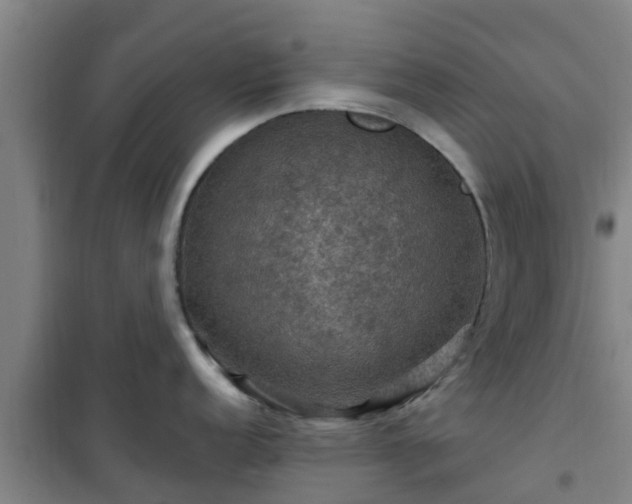 X0000101091152200807031720