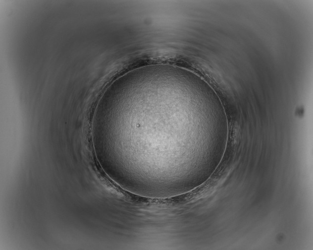 X0000101091153200807031720