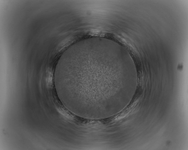 X0000101091154200807031720