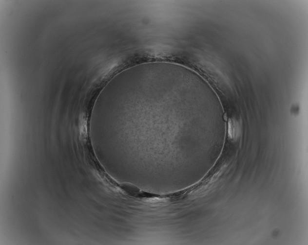 X0000101091155200807031720