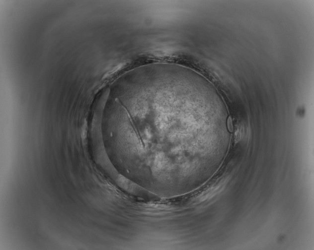 X0000101091156200807031719