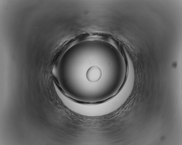 X0000101091157200807031719