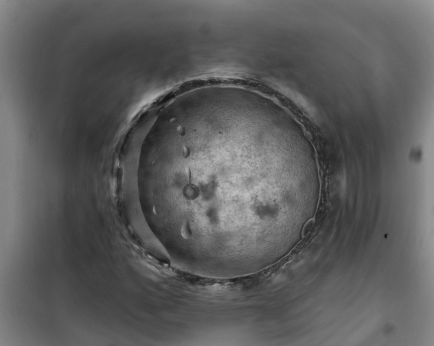 X0000101091160200807031719