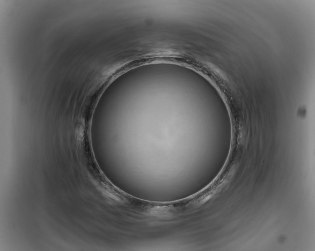 X0000101091161200807031719