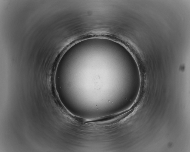 X0000101091162200807031719