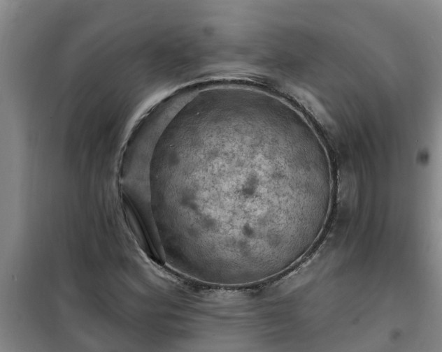 X0000101091164200807031719