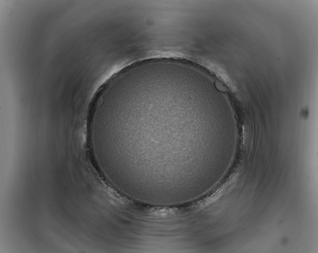 X0000101091165200807031719