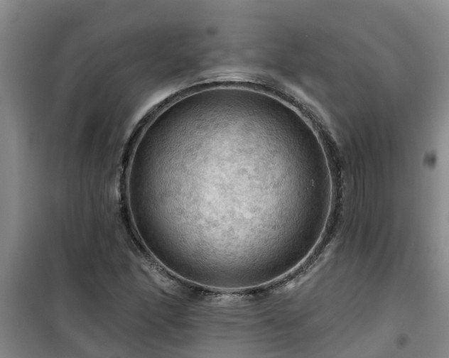 X0000101091166200807031719