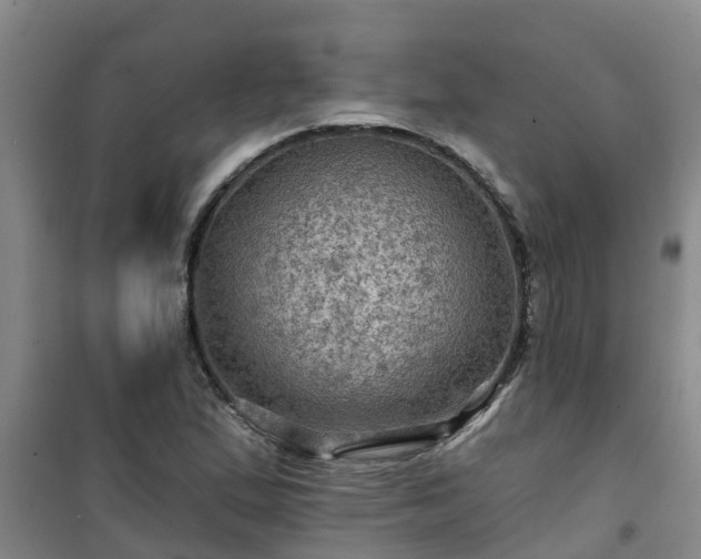 X0000101091167200807031719