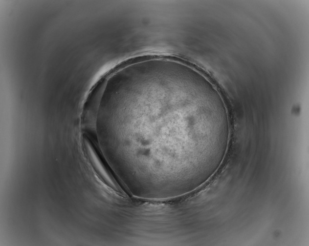 X0000101091168200807031719