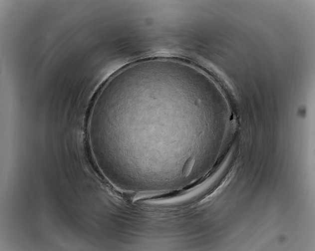 X0000101091170200807031719