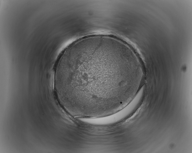 X0000101091171200807031719