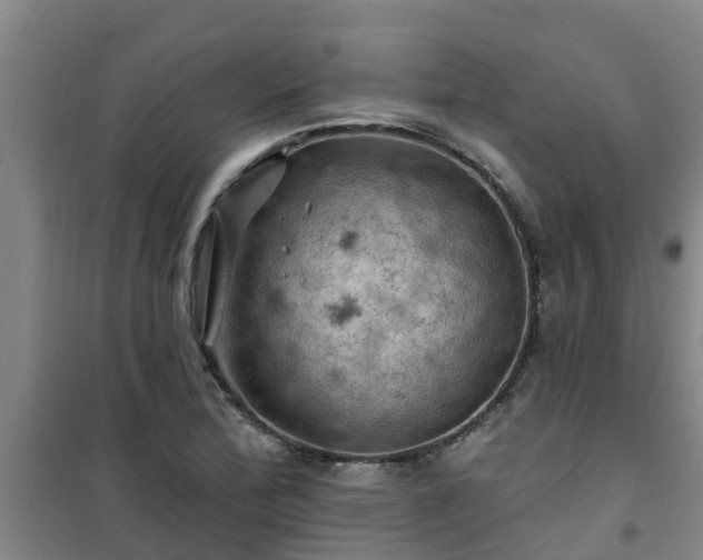 X0000101091172200807031719