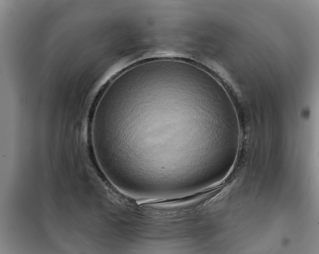 X0000101091173200807031719