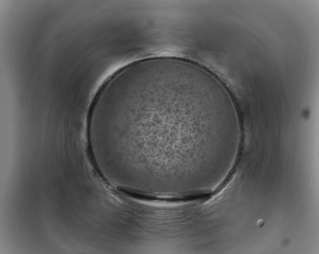 X0000101091174200807031719