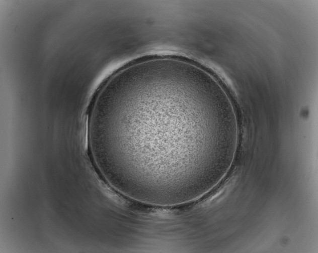 X0000101091175200807031719