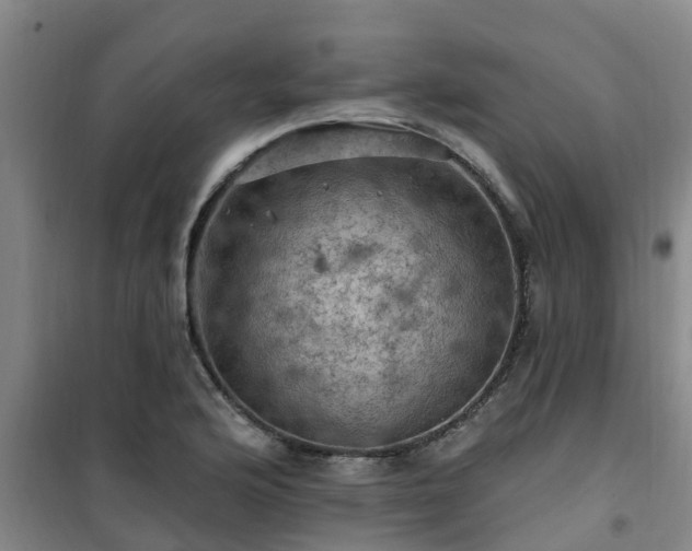 X0000101091176200807031719