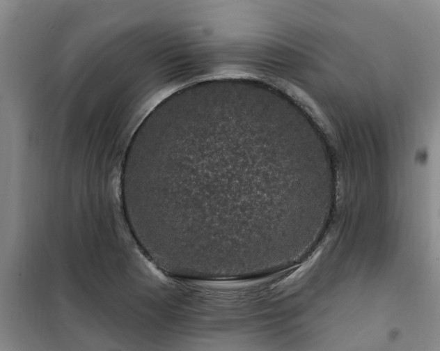 X0000101091177200807031719