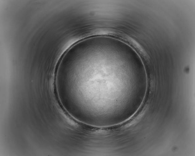 X0000101091178200807031719