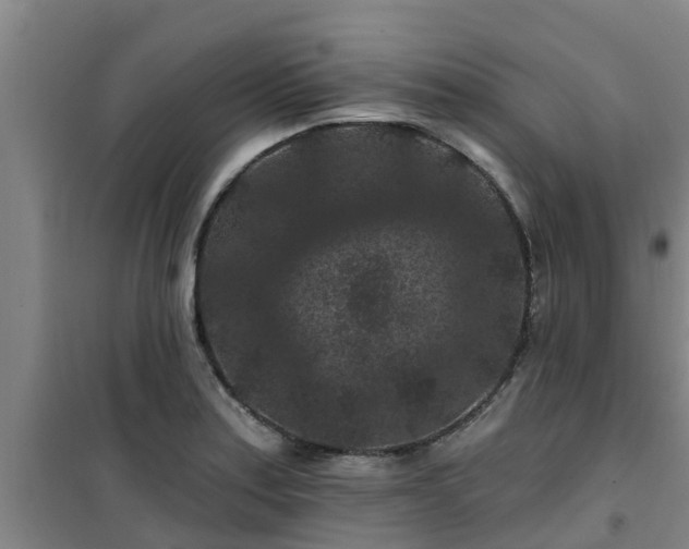 X0000101091179200807031719