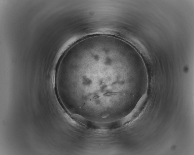 X0000101091180200807031719