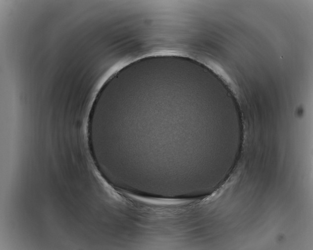 X0000101091181200807031719