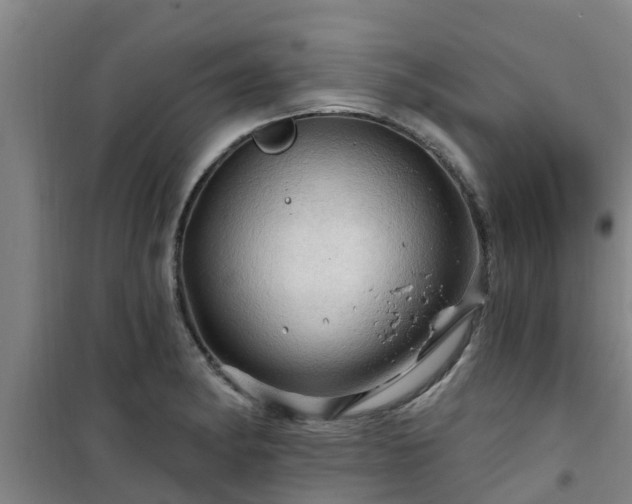 X0000101091182200807031719