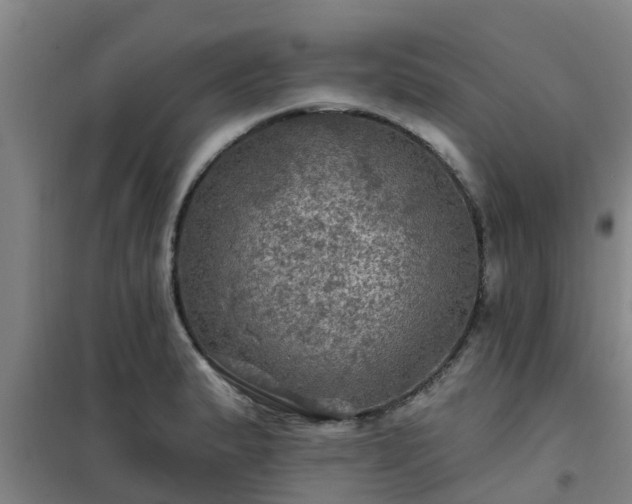 X0000101091183200807031719